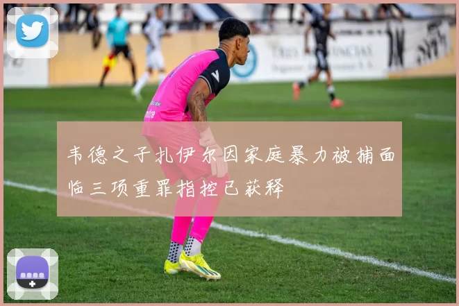 韦德之子扎伊尔因家庭暴力被捕面临三项重罪指控已获释