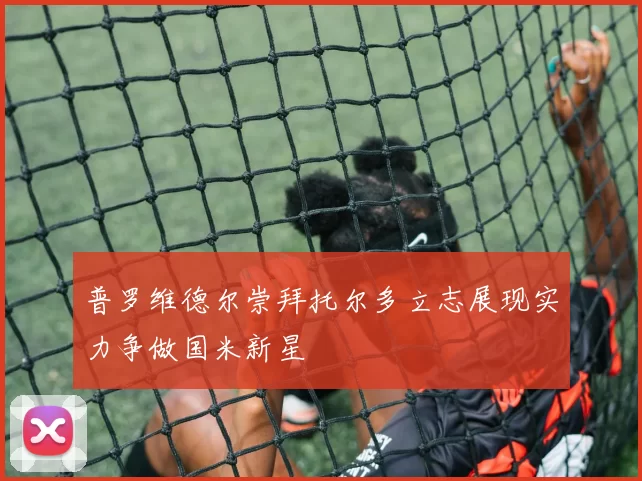 普罗维德尔崇拜托尔多立志展现实力争做国米新星